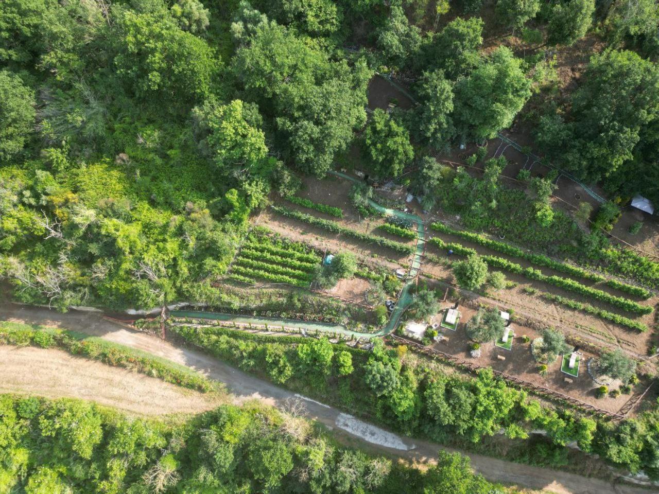 Agriturismo Le Fontane - Lago Di Bolsena Grotte di Castro Buitenkant foto